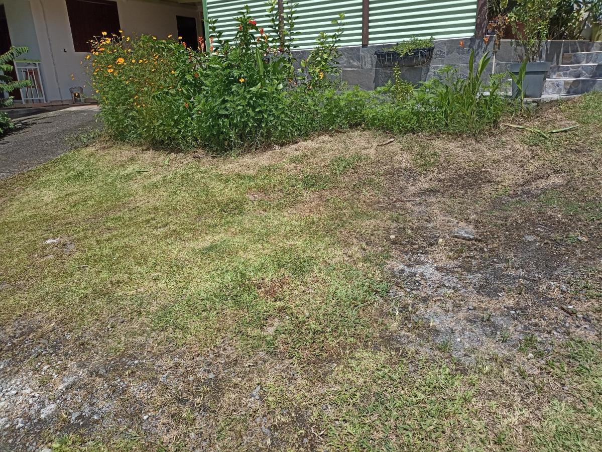 Appartement Milo 1 بويانت المظهر الخارجي الصورة